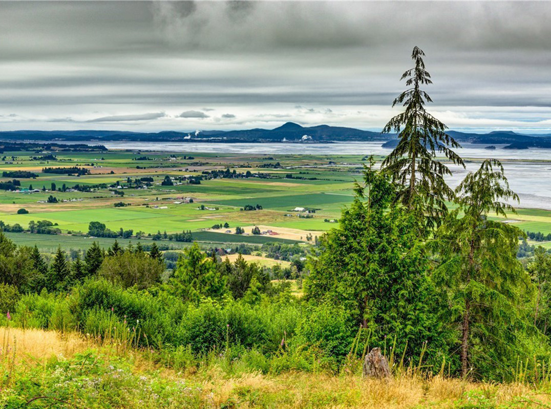 Chuckanut Scenic Estate