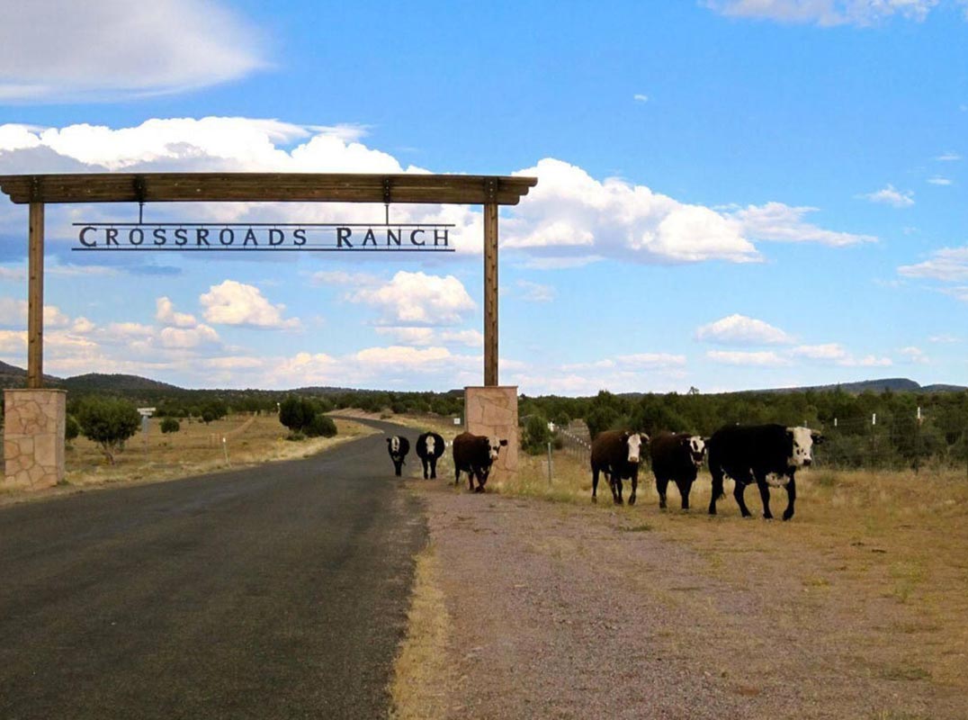 Crossroads Ranch – Over 250 Acres | 5 parcels