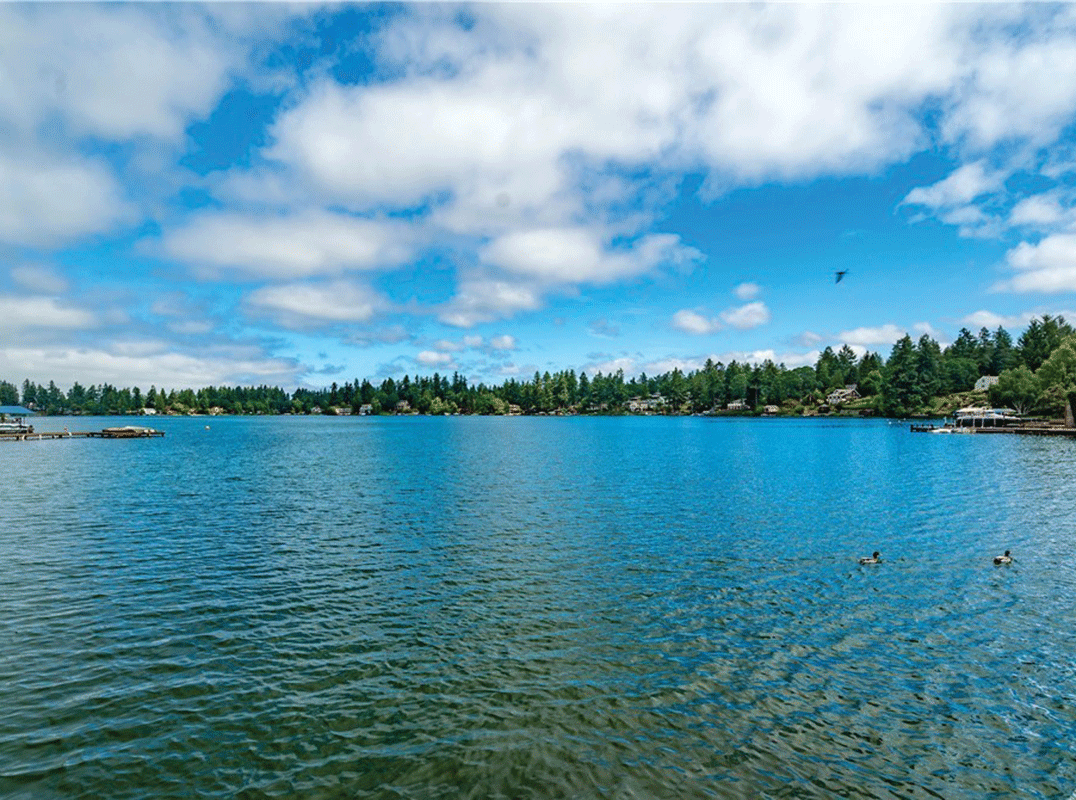 Seattle Luxury Homes, Seattle Luxury Real Estate