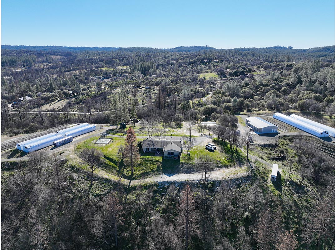 Awesome Opportunity to Own a Licensed Cannabis Farm on Over 38 Acres
