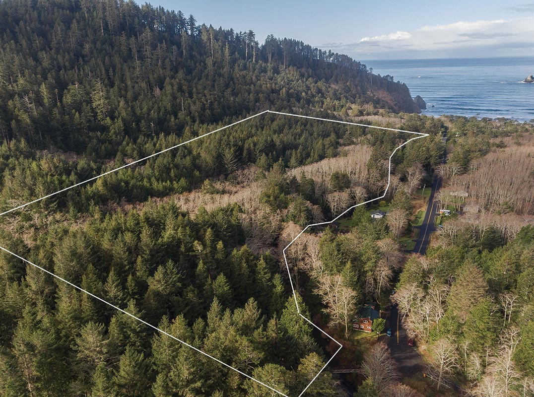 MULTIPLE OPPORTUNITIES ON 32 ACRES IN ARCH CAPE