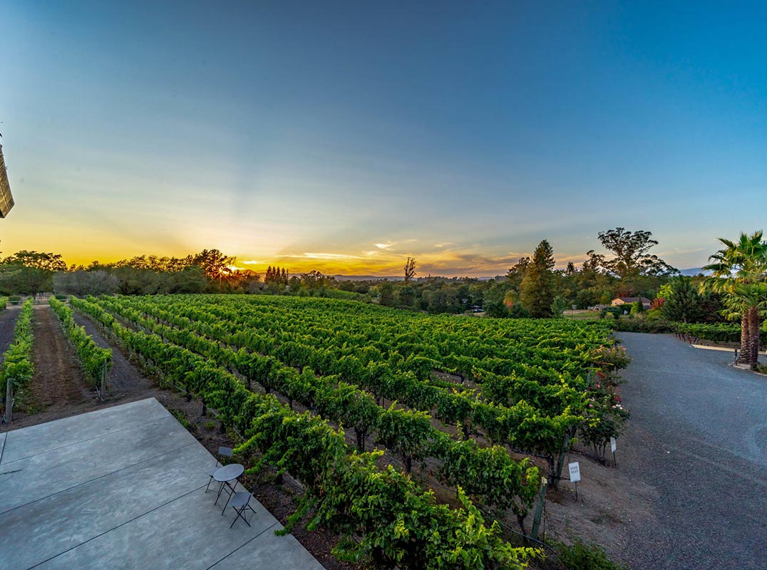 Sonoma County Winery and Estate Property!!