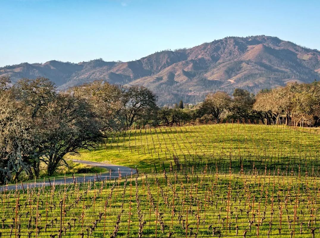 100± Acre Wine Country Ranch