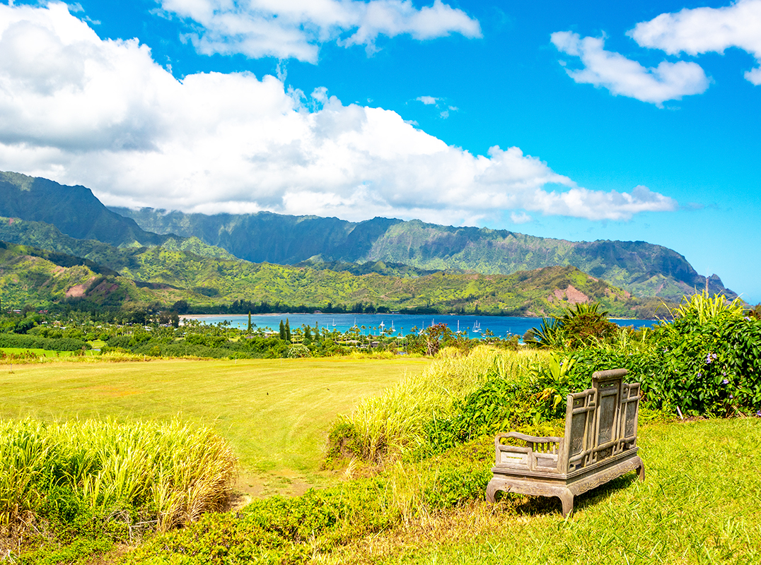 4901 Hanalei Plant Rd
