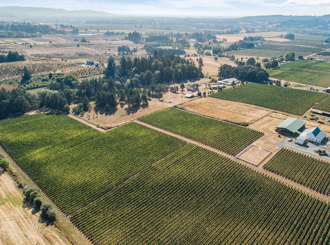 POSSIBILITIES ABOUND IN OREGON WINE COUNTRY!