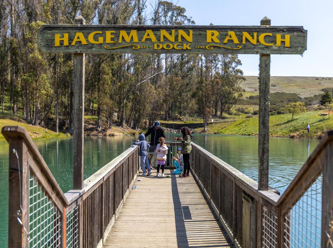 Hagemann Ranch 2 — 215.30± Acres