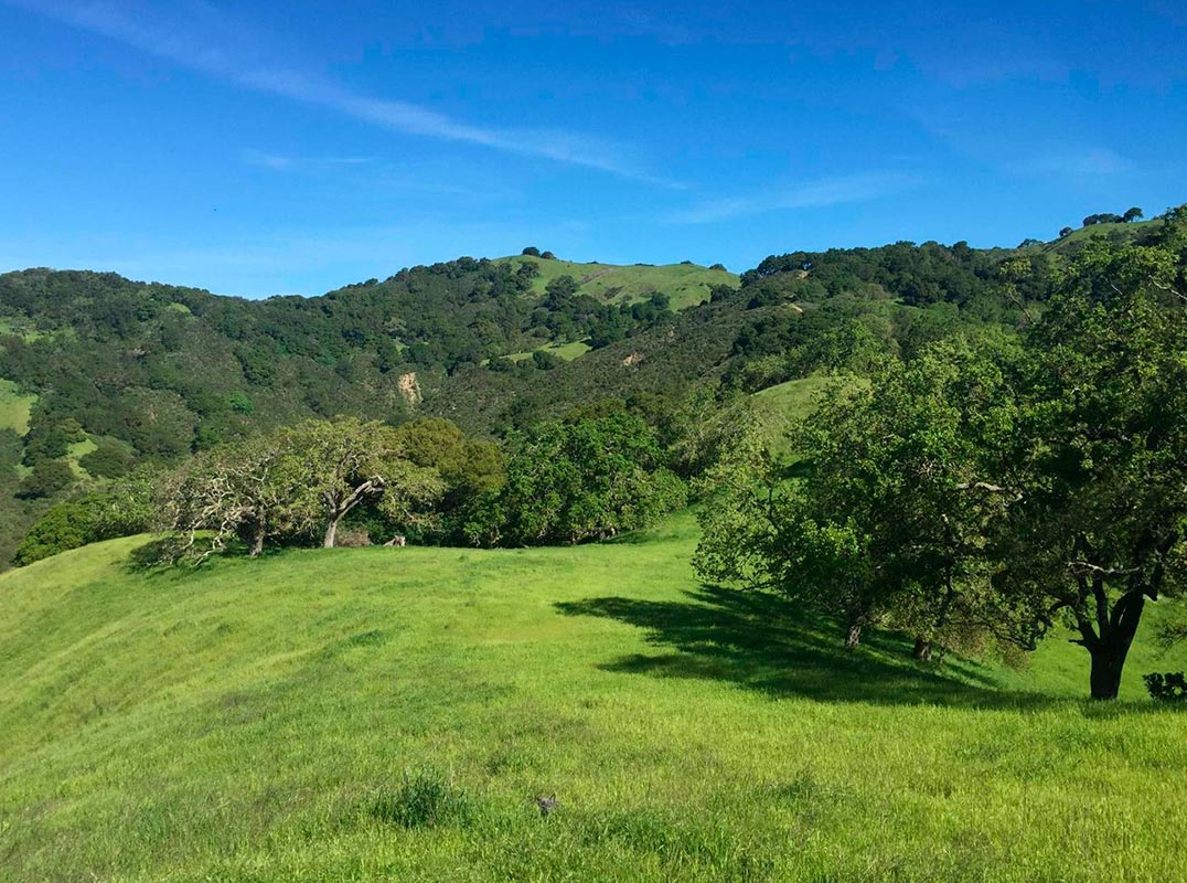 Two Spectacular Estate Lots In Lafayette’s Coveted Happy Valley Glen Neighborhood