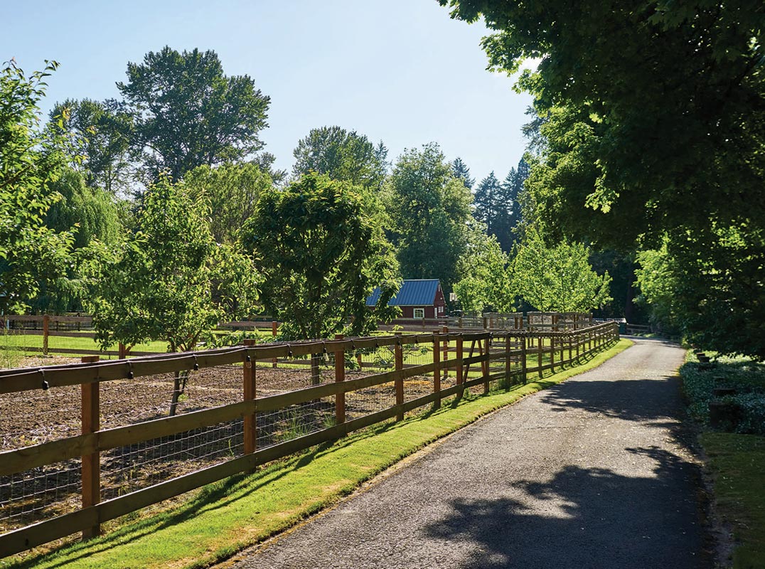 Raleigh Hills Urban Farming on 4 Acres