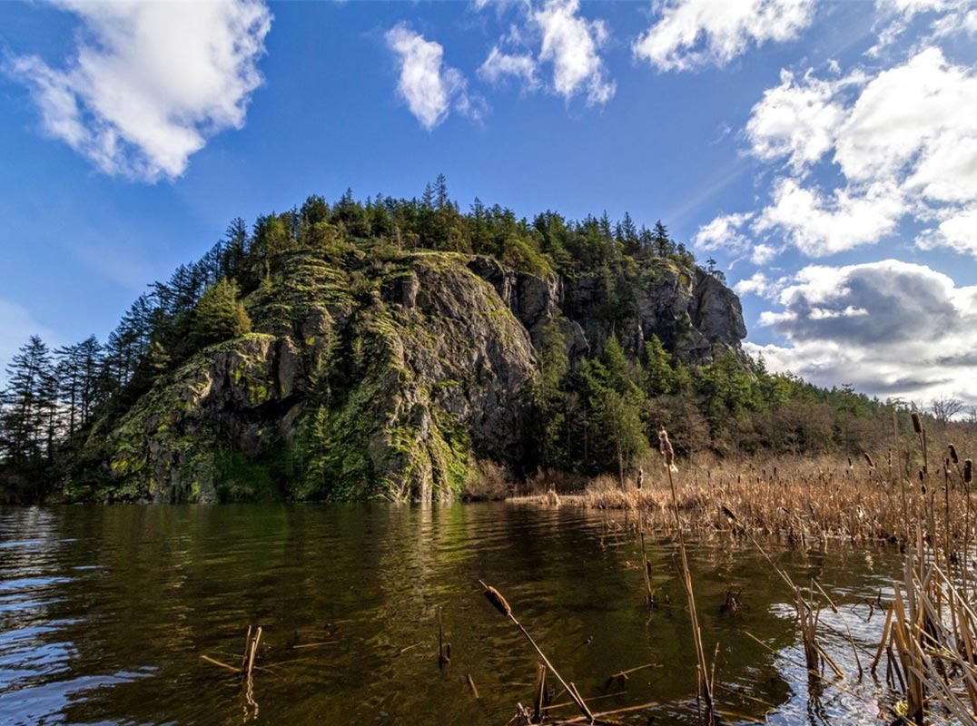 Campbell Lake Acreage Land Plot