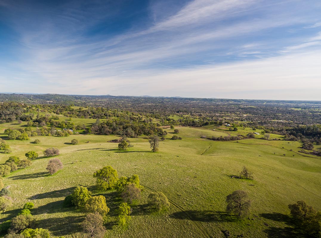 Magonigal Ranch