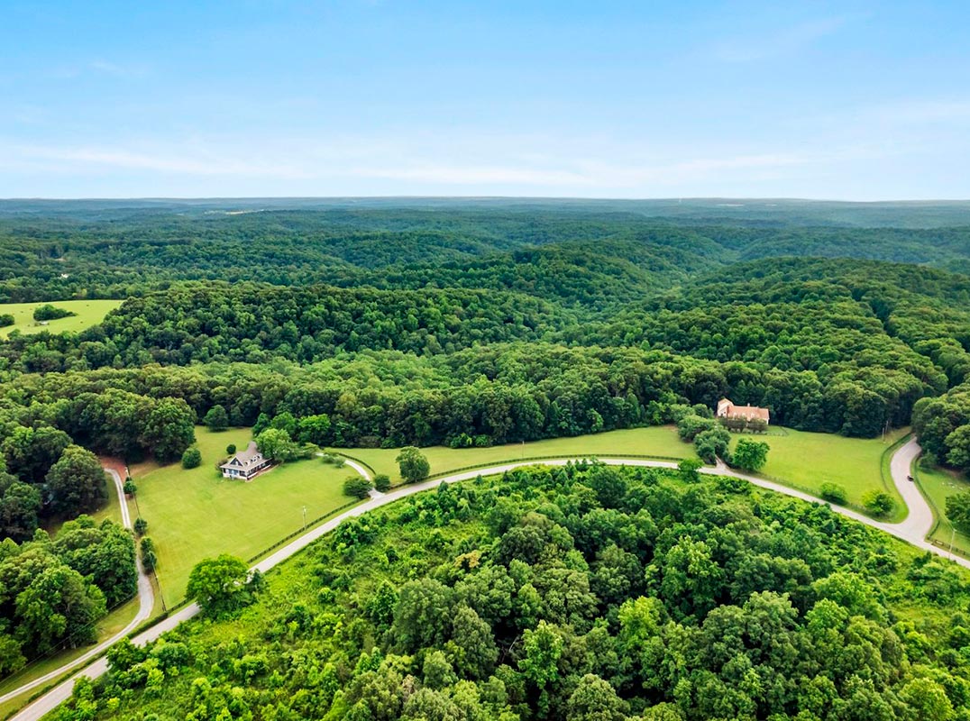 Build Your Dream Home On This 38 Acre Tract Of Wooded Land
