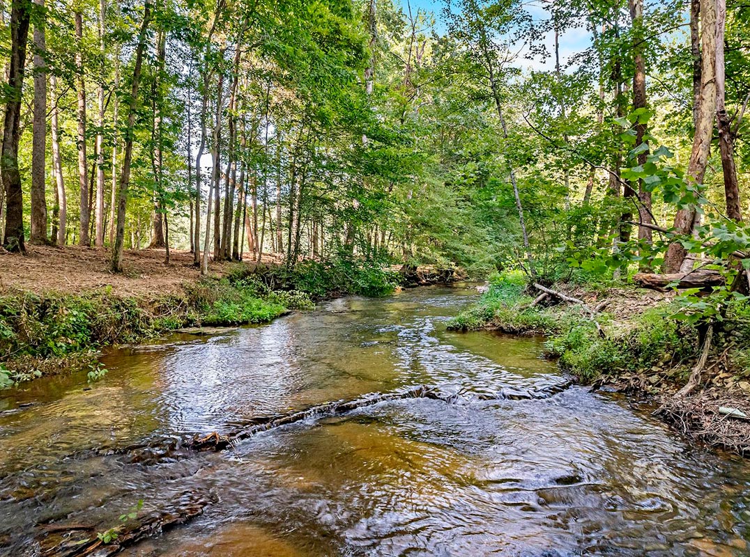 Absolutely Special 92 Acre Parcel 
