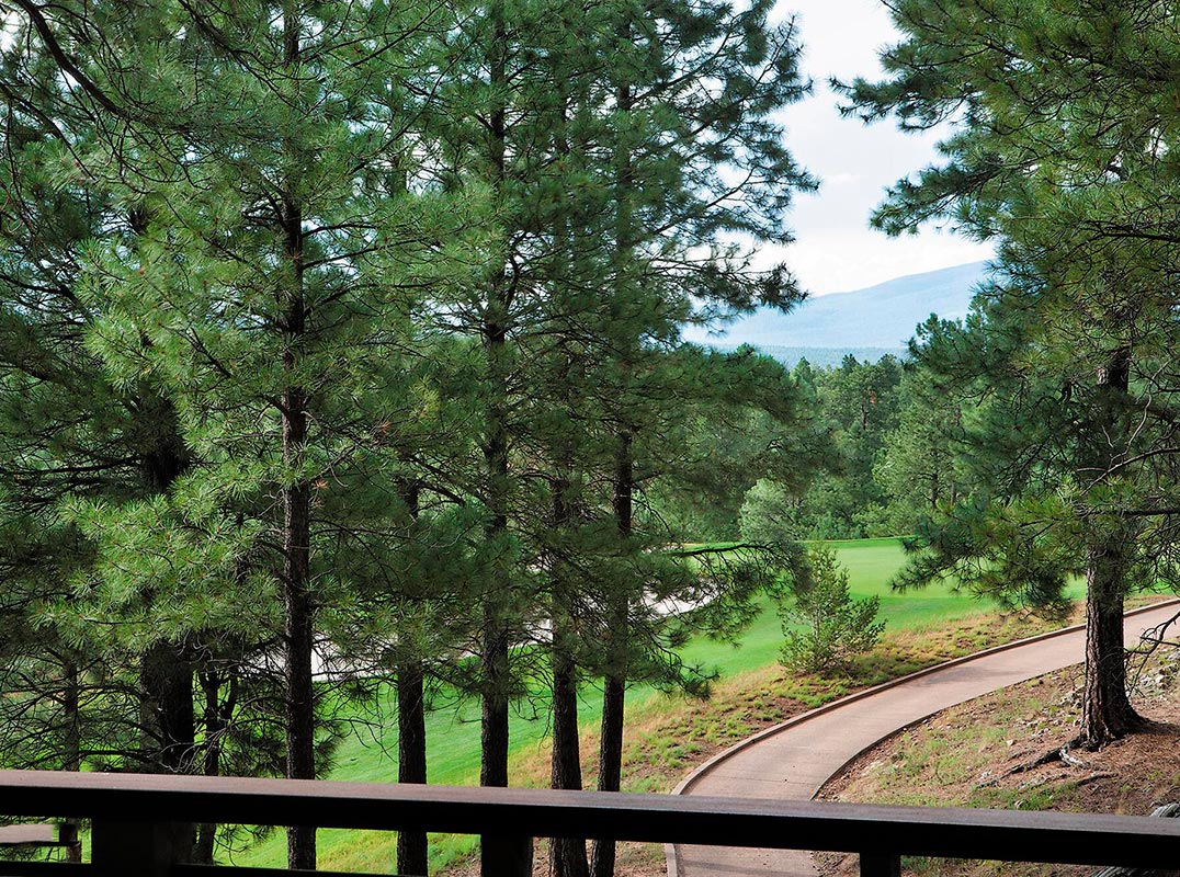 LHM Arizona One Of Pine Canyon's Best Fairway Lots