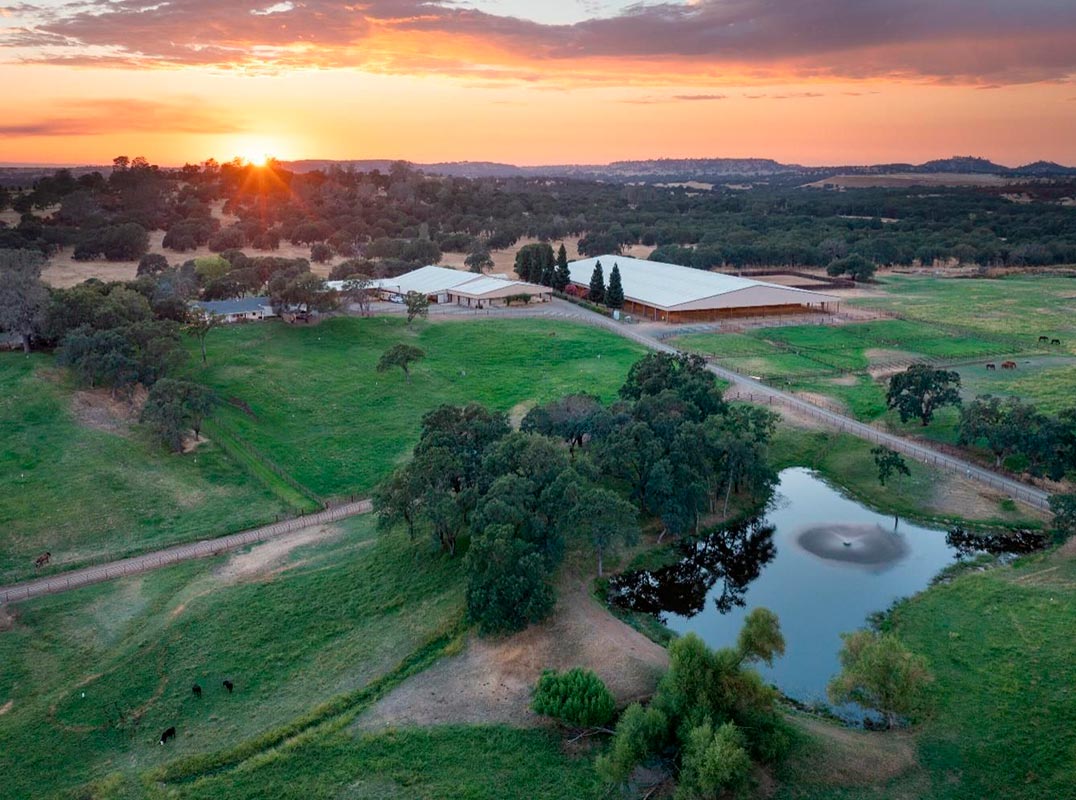 State-Of-The-Art Equestrian Facility