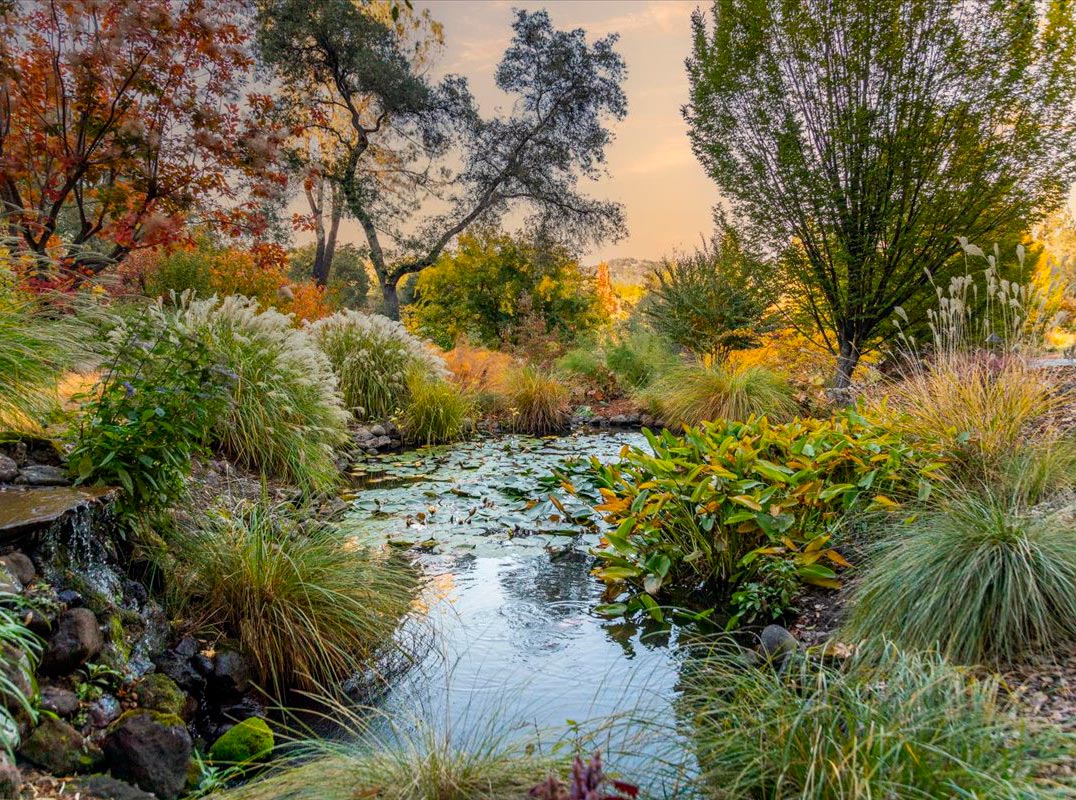 Master Gardeners Paradise