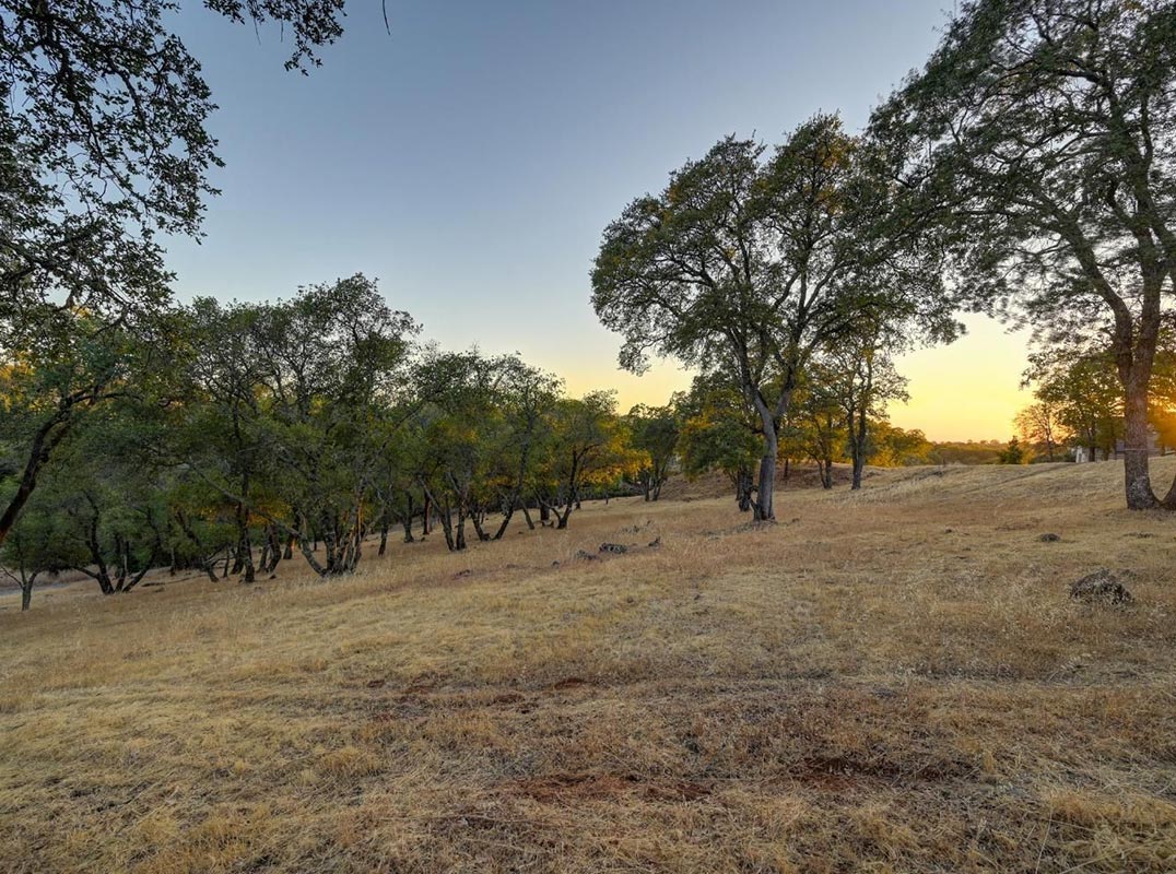 Beautifully Treed .71-Acre Parcel