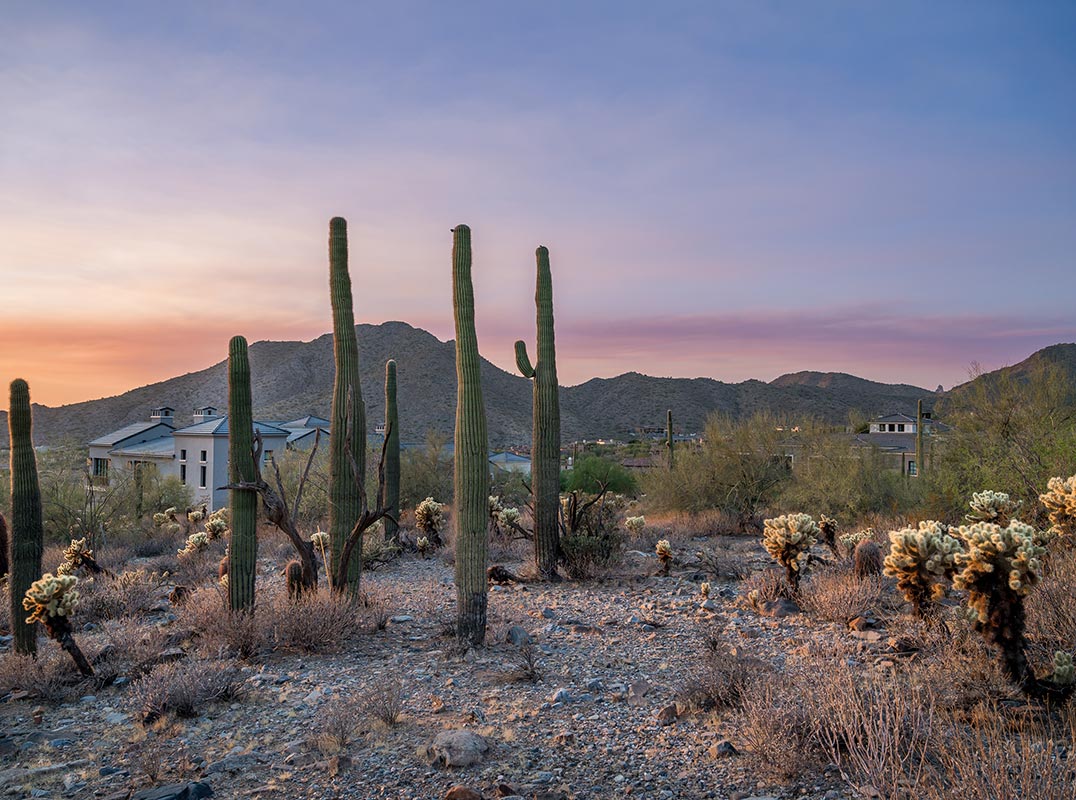 One Of The Last Remaining Buildable Lots