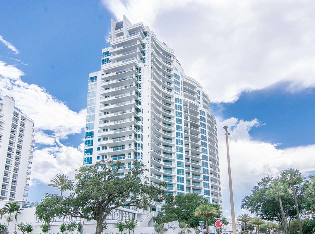 The Best Views On Bayshore Boulevard