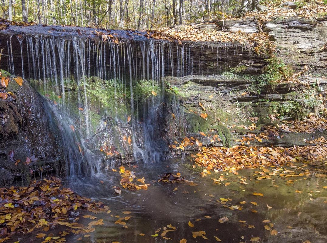 139 Acres • 1 Mile Trail System