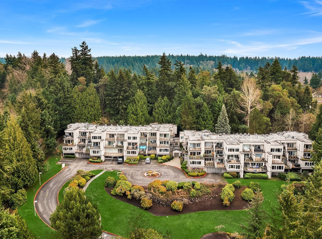 Modern Elegance Meets Tranquil Living