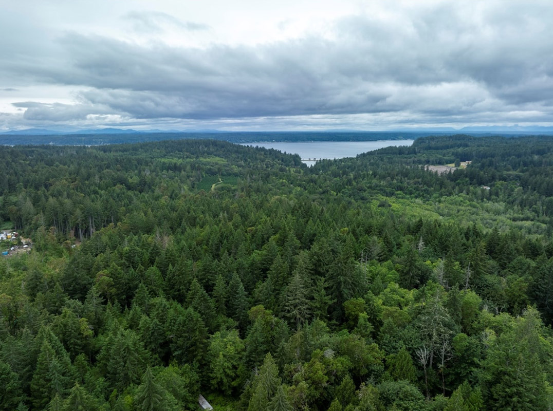 Incredible Opportunity of 20+ Acres