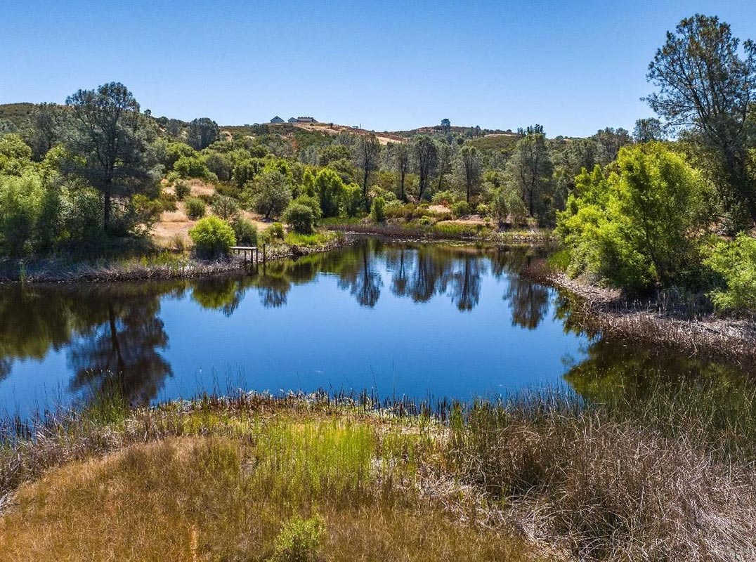 Expansive 40-Acre Property 