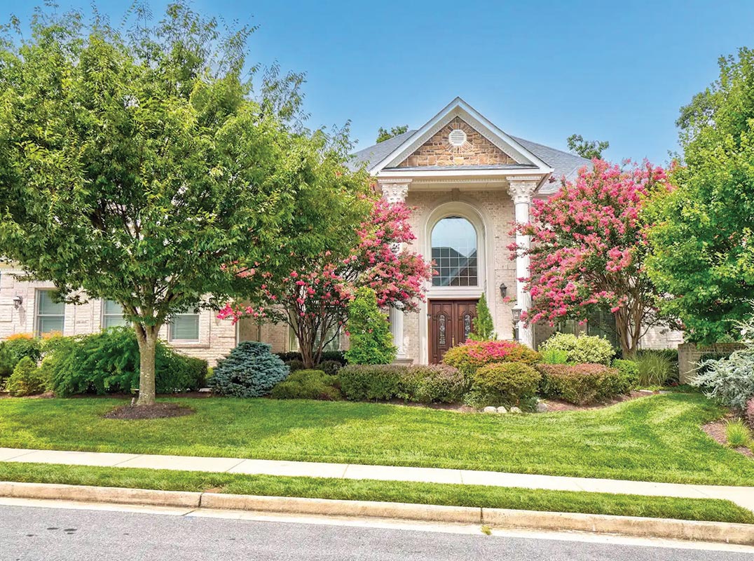 Stunning Home in the Heart of Annandale