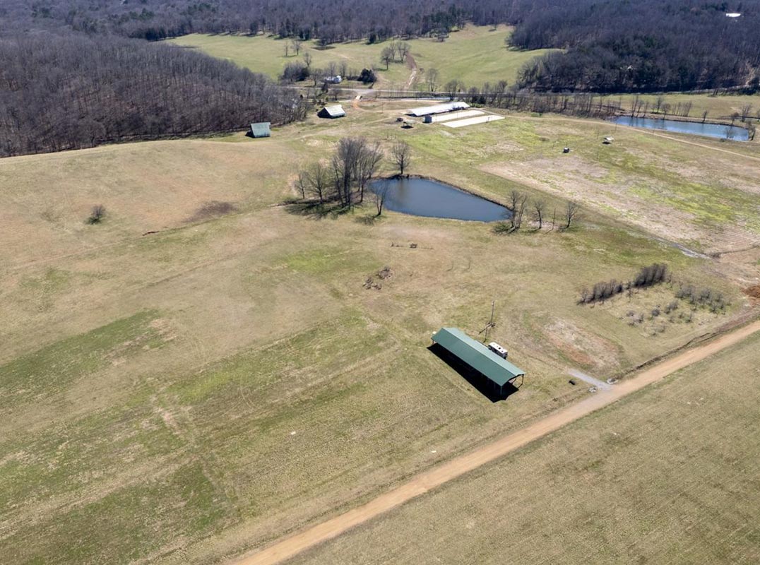 575 +/- Acres With Approximately 300 Acres Pasture