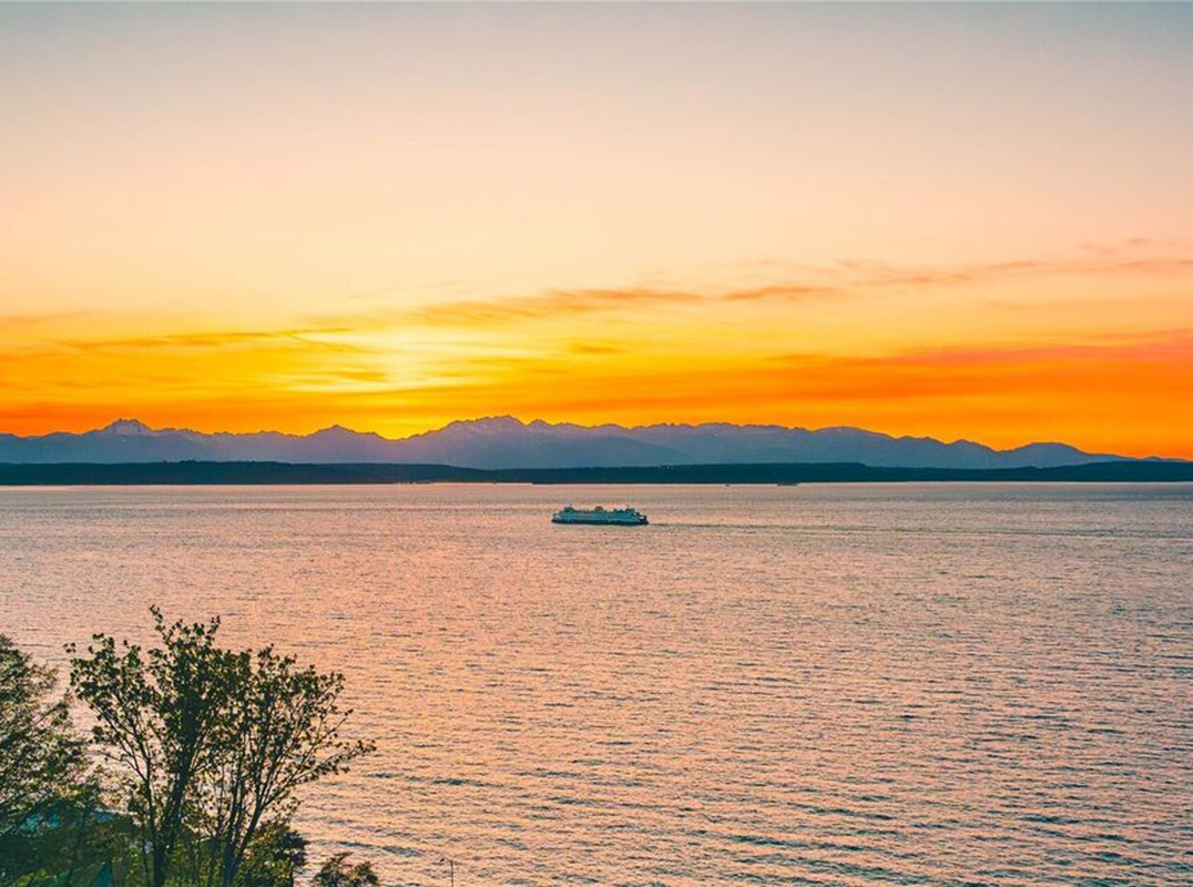 Spectacular New Seattle Construction