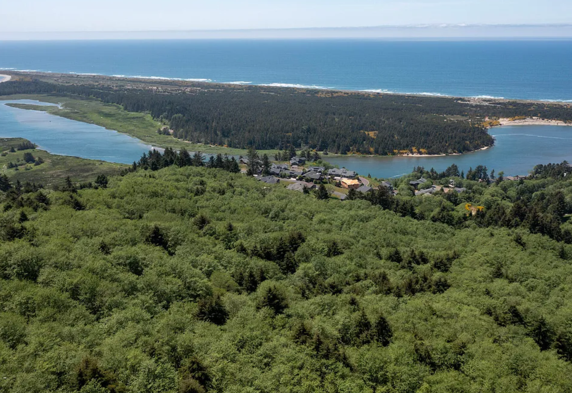 Over 200 Acres of Prime Development Land