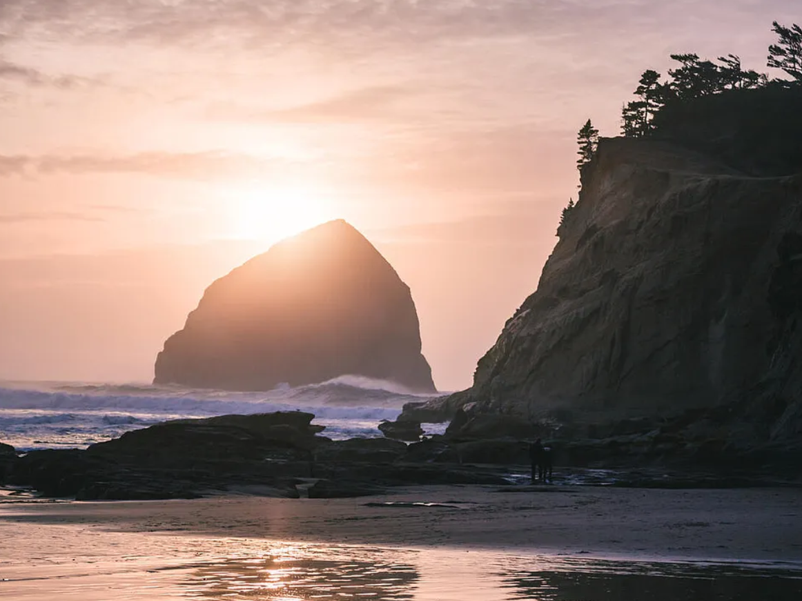 Over 200 Acres of Prime Development Land