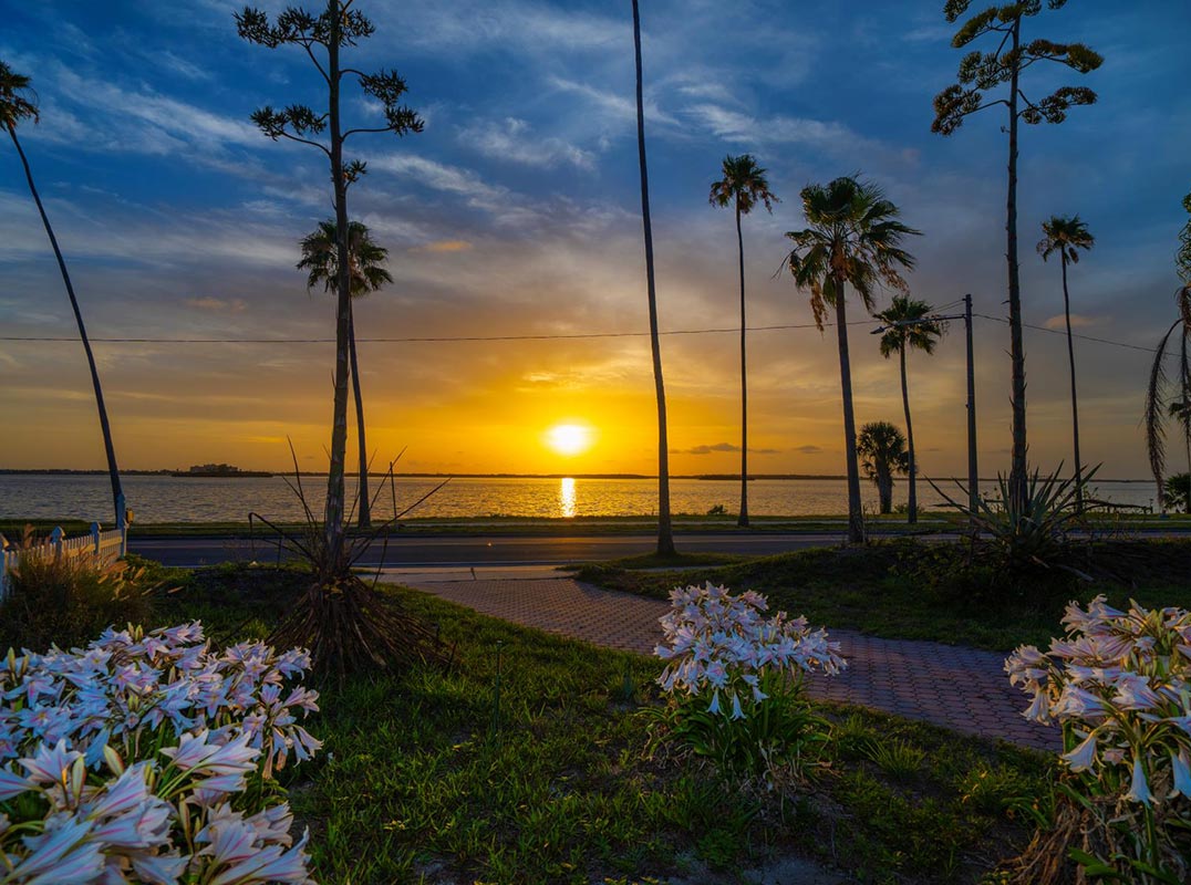 Rare Coastal Treasure