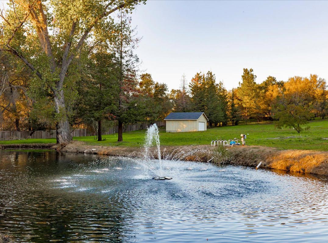 Timeless Craftsmanship with Modern Design