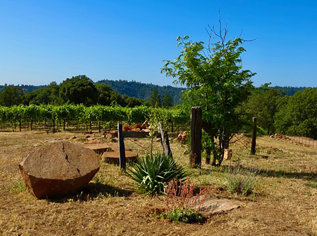 Exceptional Vineyard Estate with Panoramic Views