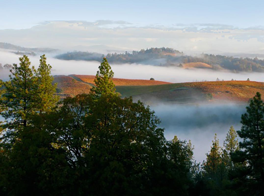 Exceptional Vineyard Estate with Panoramic Views