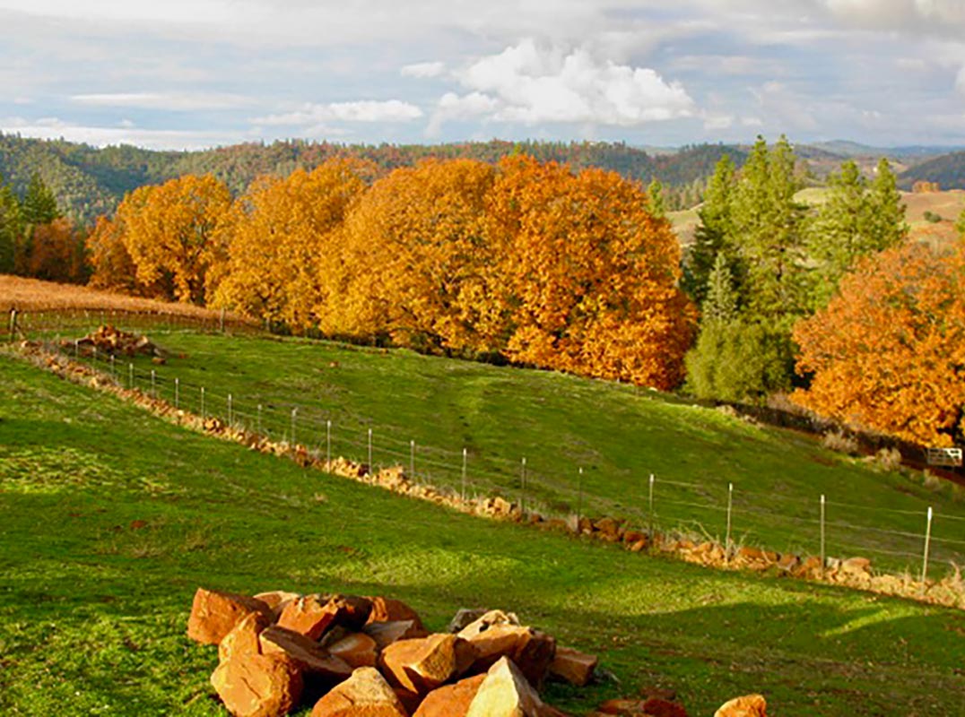 Exceptional Vineyard Estate with Panoramic Views