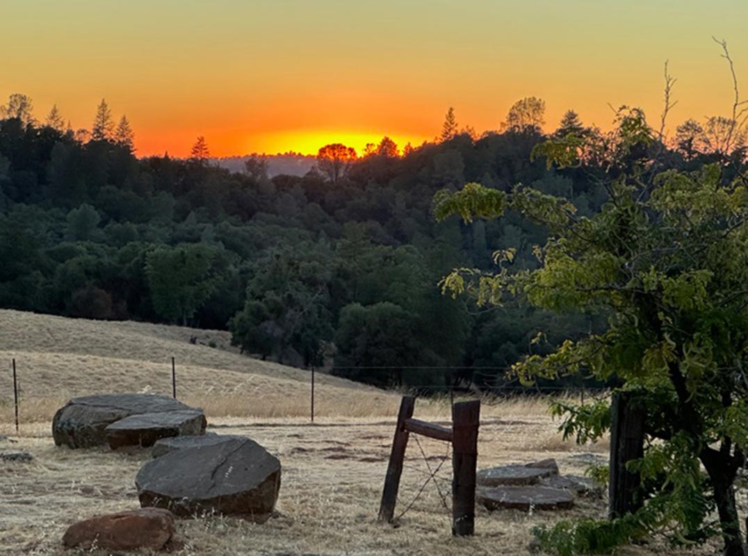 Exceptional Vineyard Estate with Panoramic Views