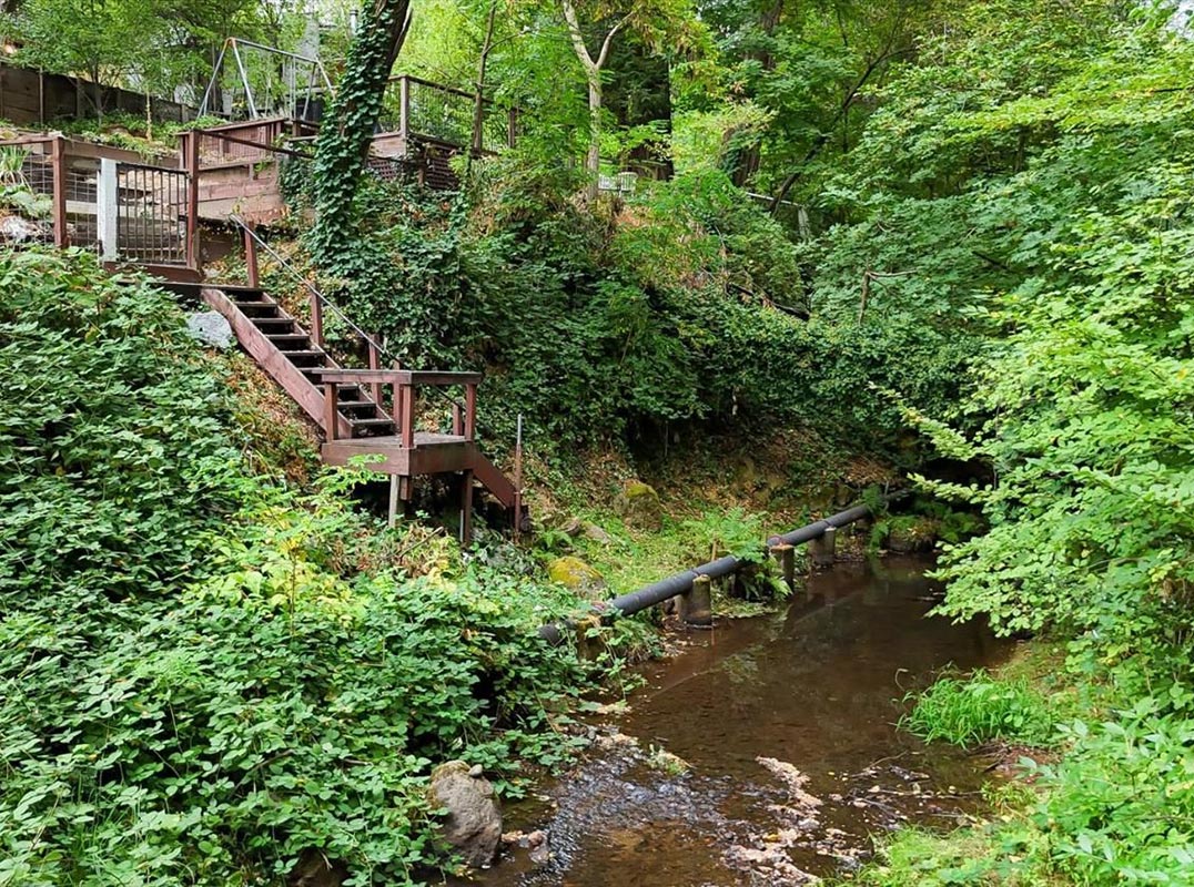 Downtown Nevada City Classic