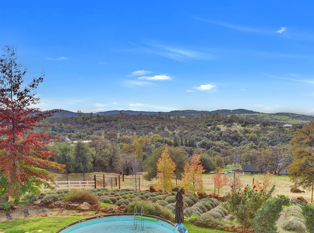 Distinguished Craftsman Style Estate