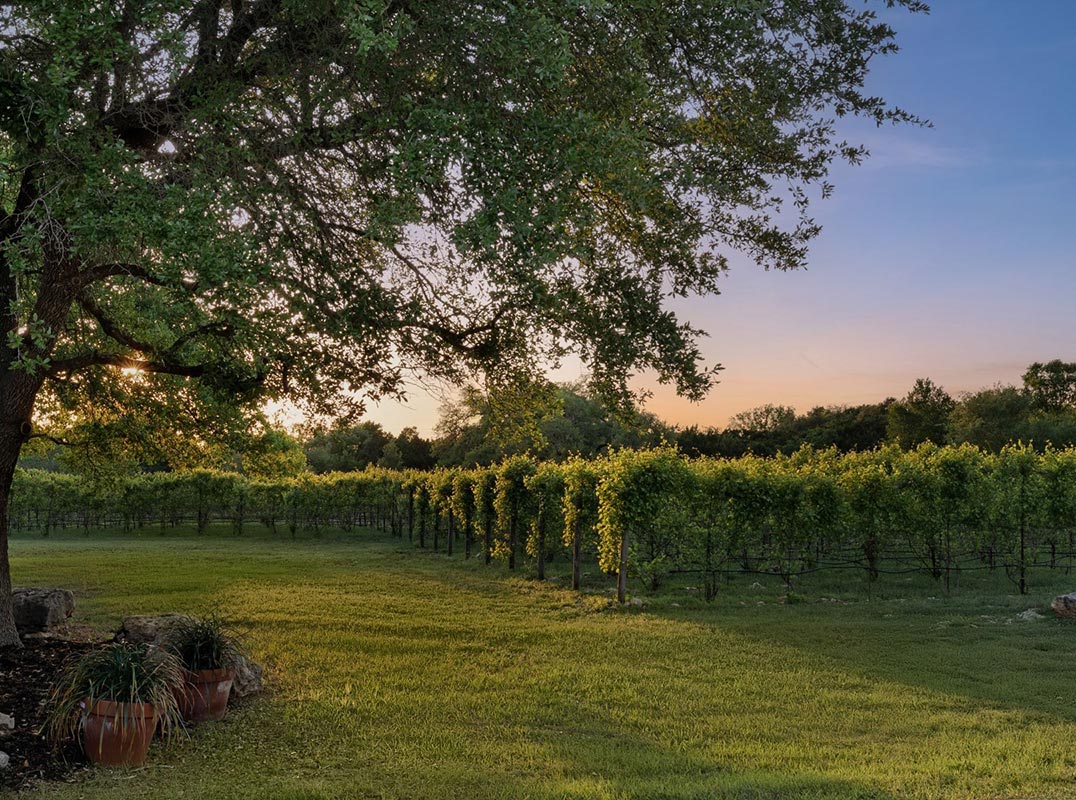  Hill Country Multi-Use Property - Driftwood Vineyard Opportunity 