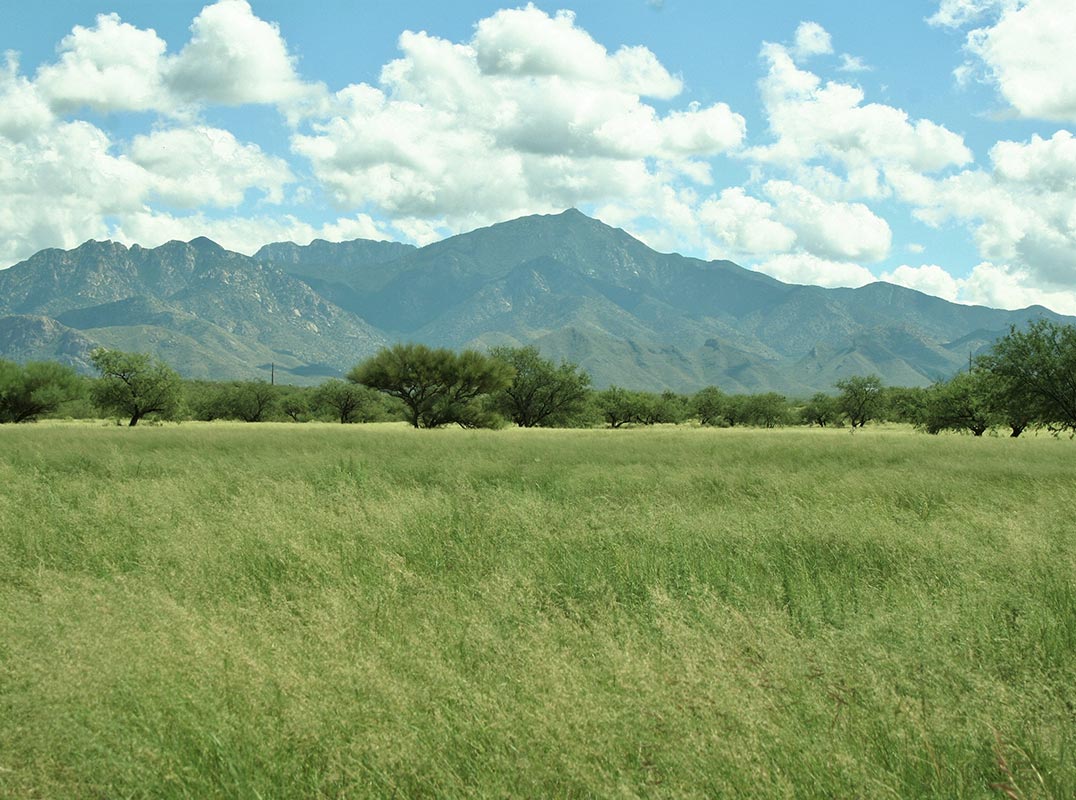 Montosa Canyon Ranch: An Arizona Trophy