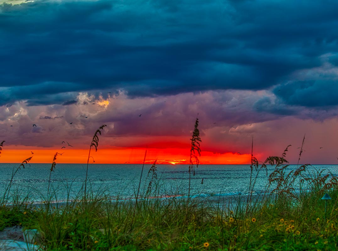 Redington Beach Gulf Front