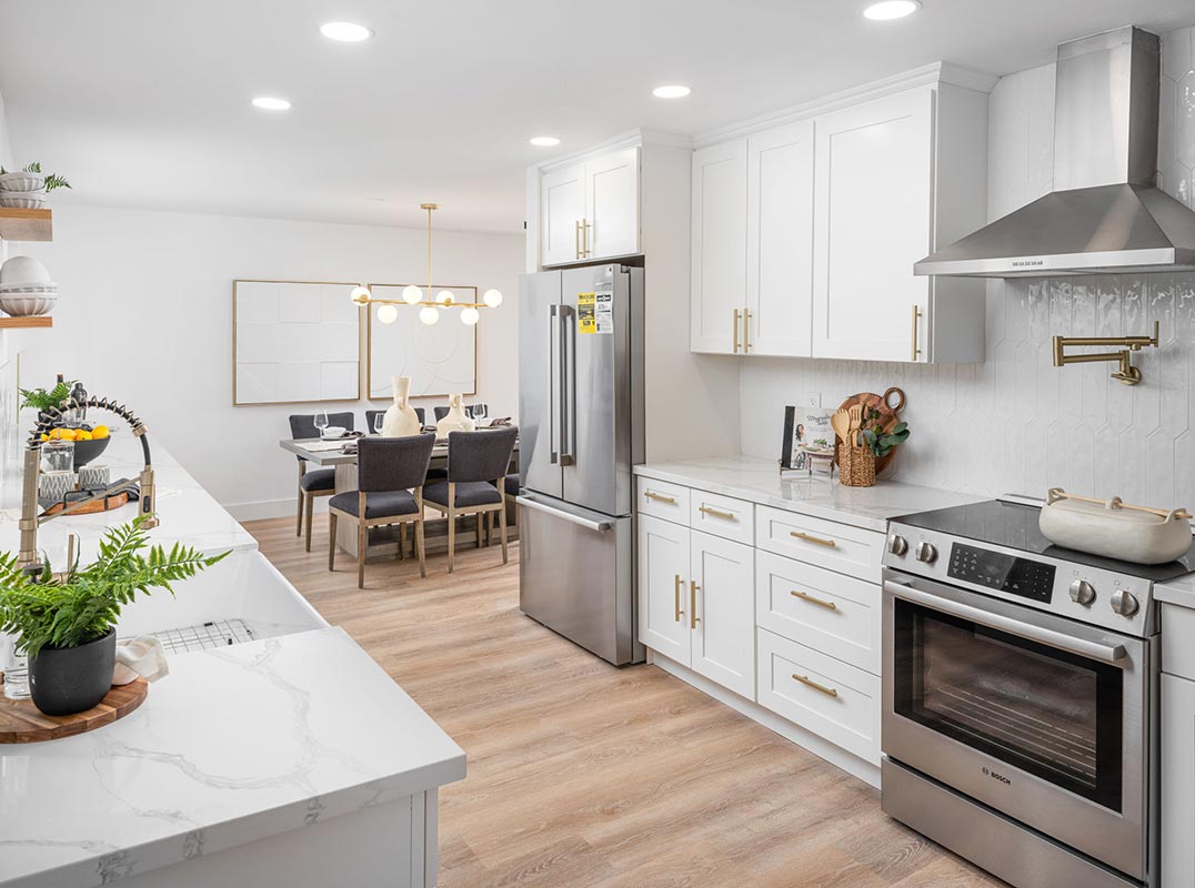 Dynamic Alamo Contemporary Design