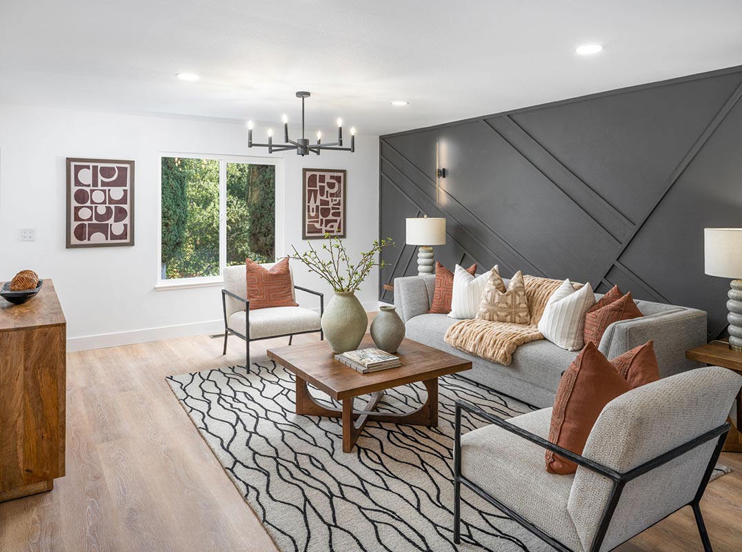 Dynamic Alamo Contemporary Design