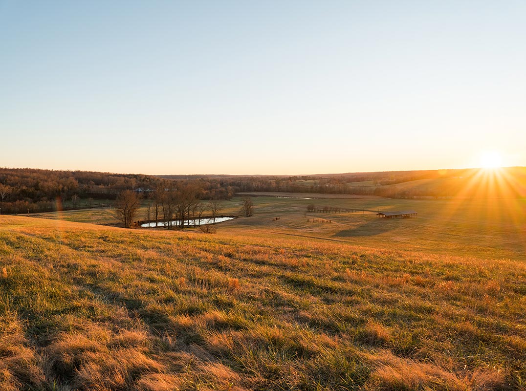 Pinewood Farm | A Rare Legacy Property Along the Piney River. 