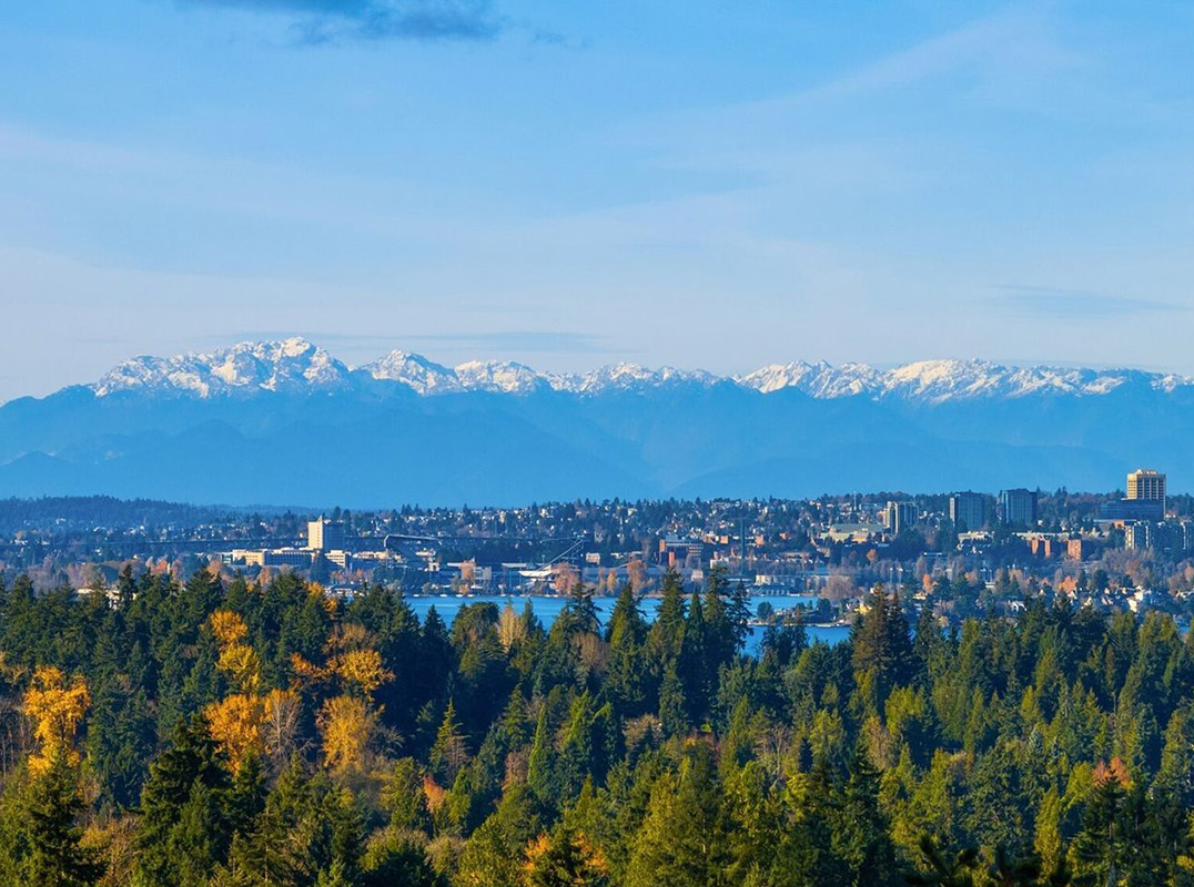 Signature Clyde Hill Residence