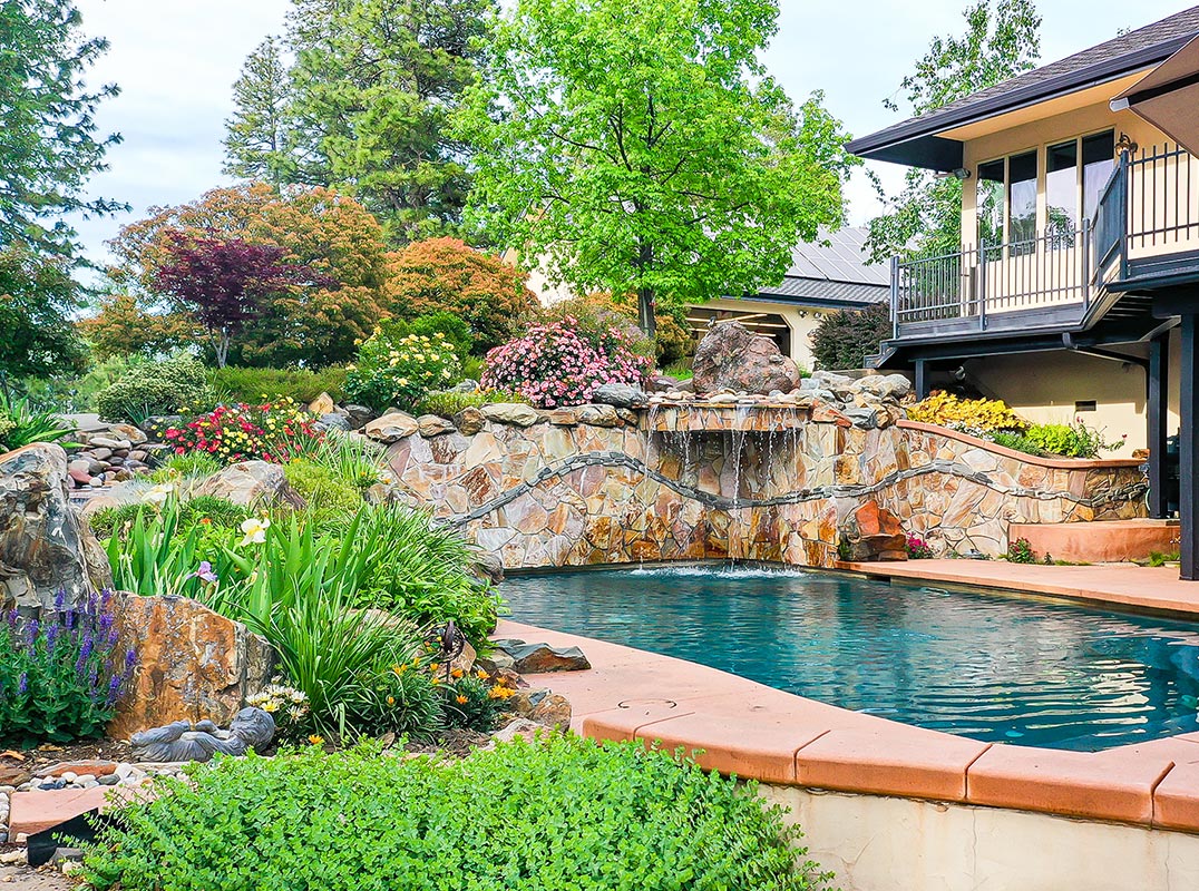 Car Collector’s Paradise