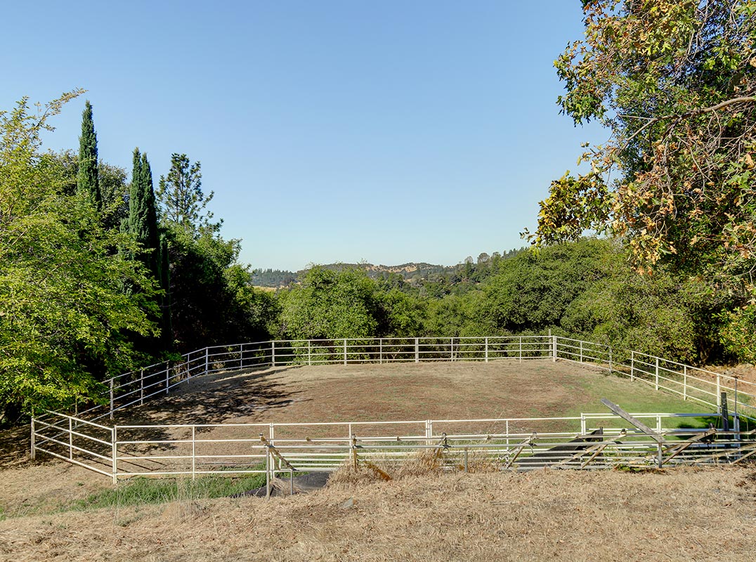 Car Collector’s Paradise