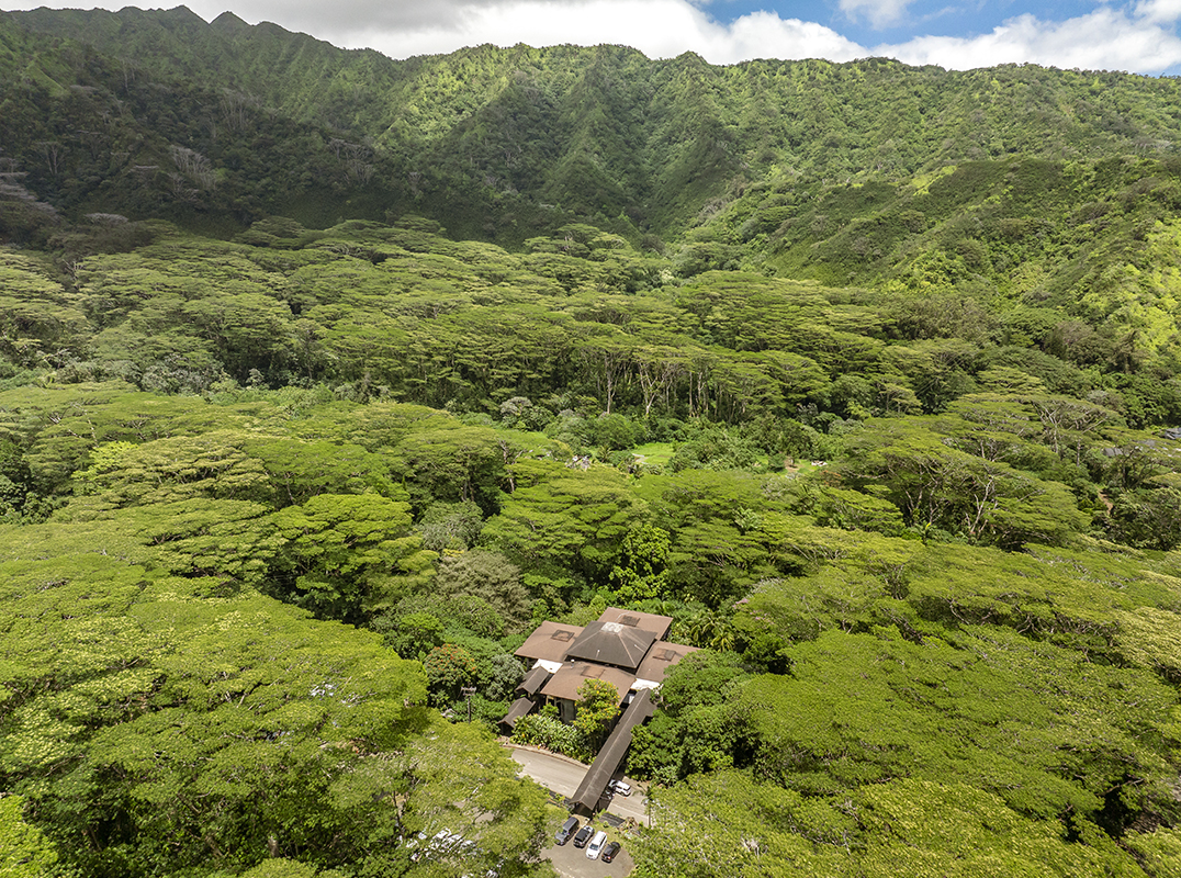 3737 Manoa Road