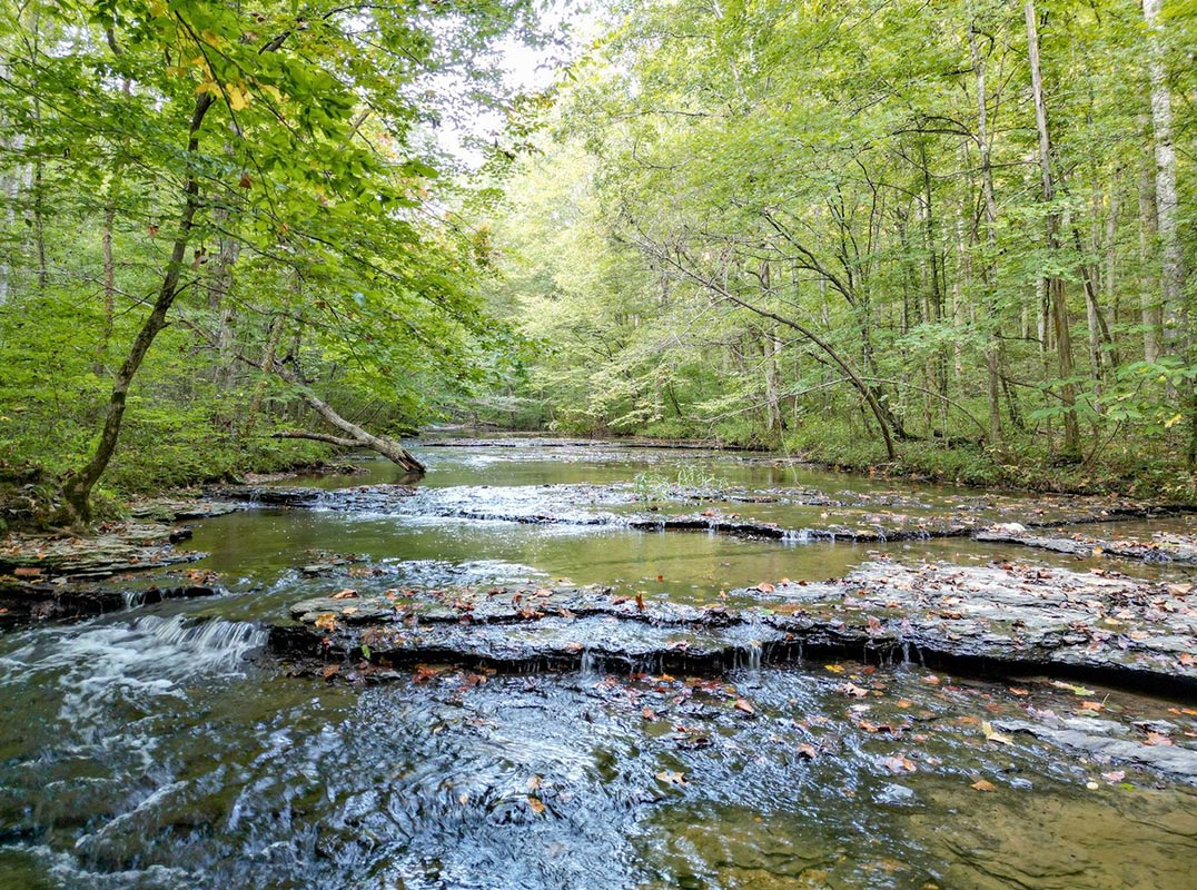 427 Acres of Timber and Water in Williamson County